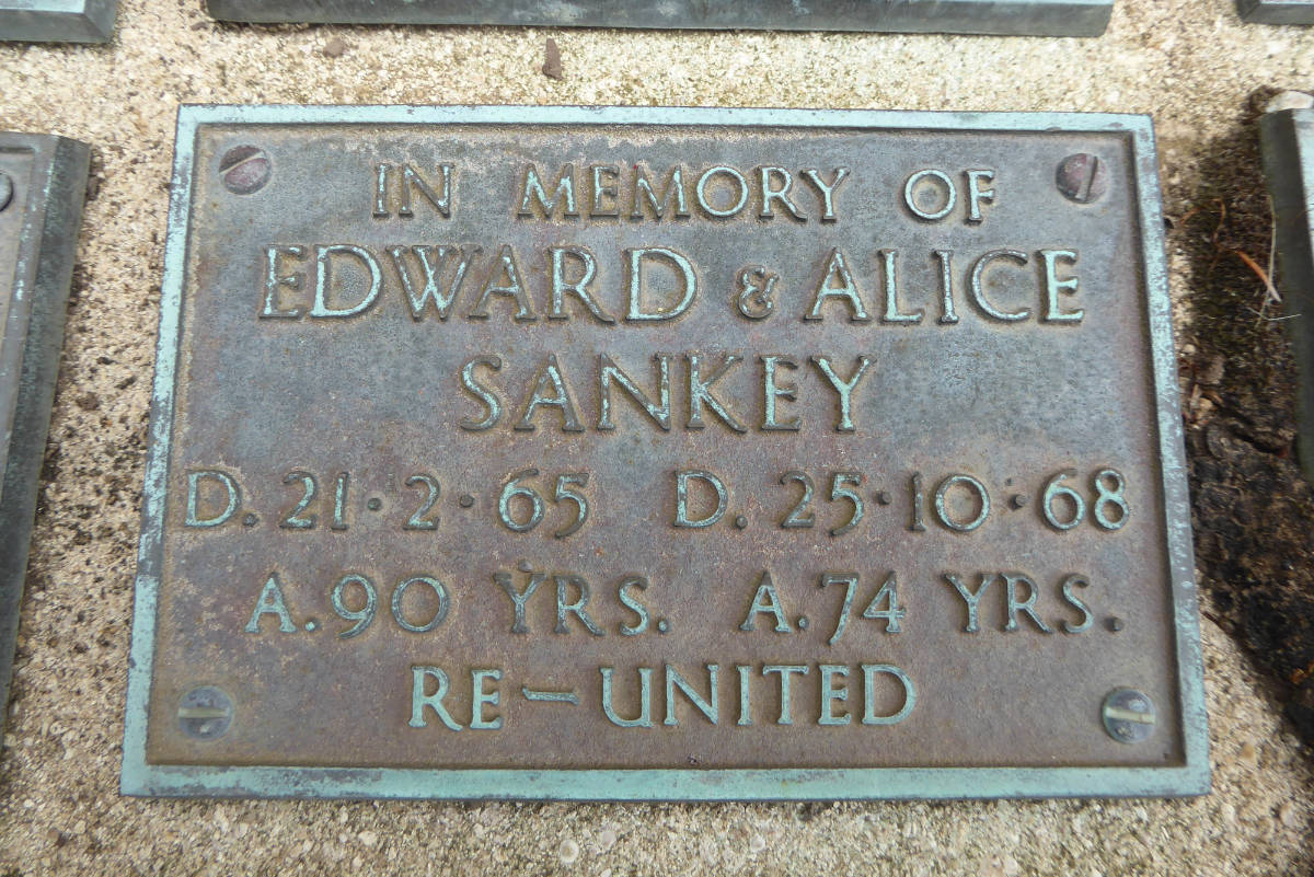 nc P1210972 Sankey
