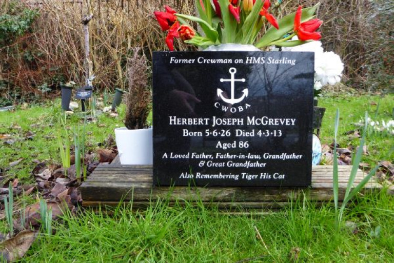P1180535 McGrevey 600